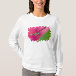 T-shirt États-Unis, Oregon, Shore Acres Gardens, Goutte d'