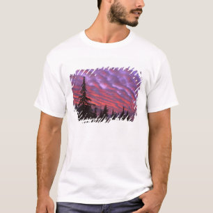 T-shirt États-Unis, Oregon, Trois Soeurs Sauvages, Vivid