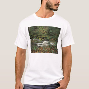 T-shirt États-Unis, Tennessee. Big South Fork National Riv