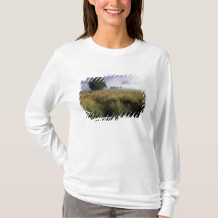 T-shirt États-Unis, Tennessee, Grandes montagnes fumées