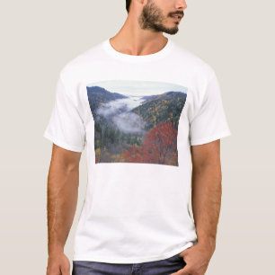 T-shirt États-Unis, Tennessee, Great Smokey Mountains Nat