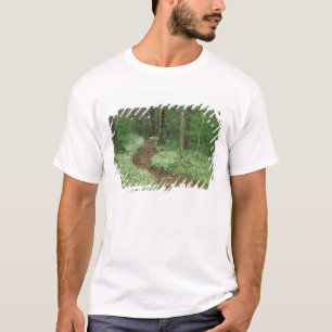 T-shirt États-Unis, Tennessee, Great Smoky Mountains NP, 