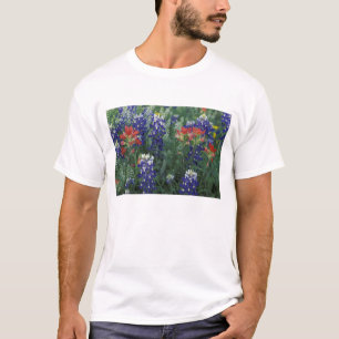 T-shirt États-Unis, Texas Hill Country. Bleuets et