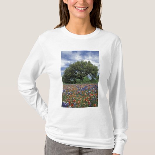 T-shirt États-Unis, Texas, Marble Falls Paintbrush et (Devant)