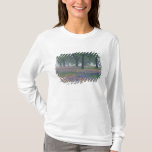 T-shirt États-Unis, Texas, Texas Hill Country Champ vaste