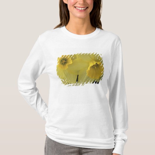 T-shirt États-Unis, Utah, jonquilles de Cache Valley (Devant)