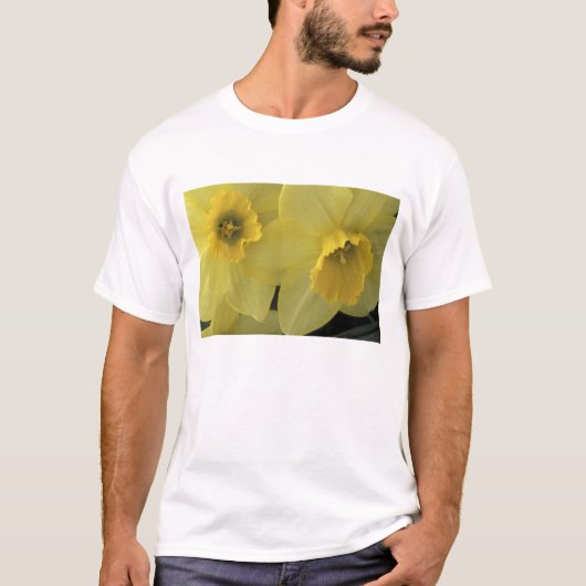 T-shirt États-Unis, Utah, jonquilles de Cache Valley (Devant)