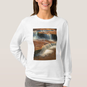 T-shirt États-Unis, Utah, parc national de Zion. Scénique