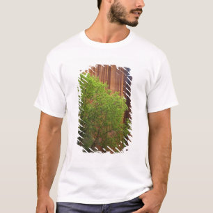 T-shirt États-Unis, Utah, Paria Canyon- Vermillion Cliffs