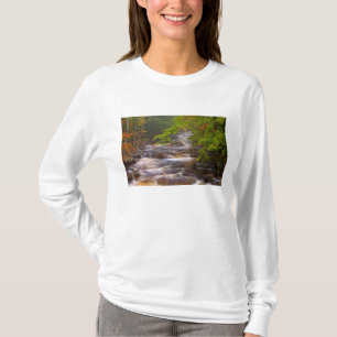 T-shirt États-Unis, Vermont, East Arlington, Ruisseaux