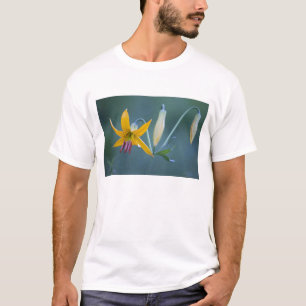 T-shirt États-Unis, WA, Parc national du mont Rainier. Col