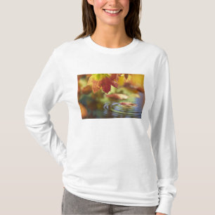 T-shirt États-Unis, Washington, Bellingham, Gros plan sur