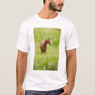 T-shirt États-Unis, Washington, Cheval dans un champ print