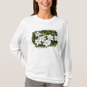 T-shirt États-Unis, Washington, Pacific Dogwood, Cornus
