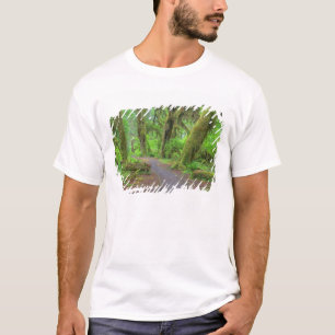 T-shirt États-Unis, Washington, Parc national Olympique, H