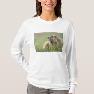T-shirt États-Unis, Washington, Parc national Olympique, M