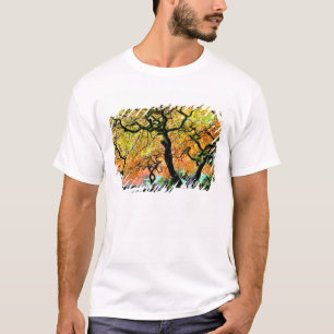 T-shirt États-Unis, Washington, Seattle, Kubota Garden.