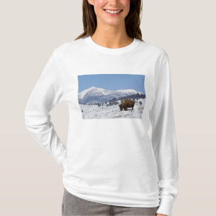 T-shirt États-Unis, WY, Parc national de Yellowstone, Biso