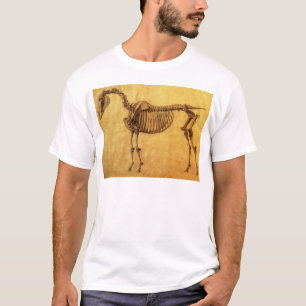 T-shirt Étude finie par de George Stubbs pour le premie