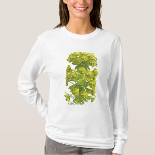 T-shirt Euphorbe