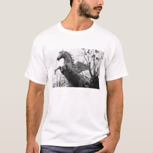 T-shirt Europe, Autriche, Salzbourg. Statue de cheval ailé