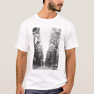 T-shirt Europe, France, Paris. Arbres d'hiver, Marco Polo