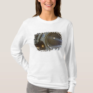 T-shirt Europe, Italie, Rome. Basilique Saint-Pierre (alia