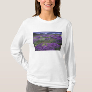 T-shirt Europe, Turquie, Cappadoce. Paysage rural 2