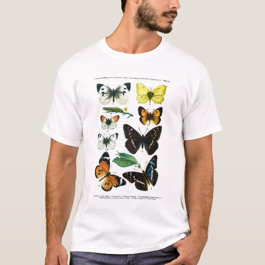 T-shirt European Butterflies Plate II (Devant)