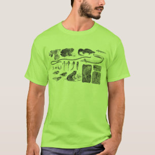 T-shirt Évolution amphibie