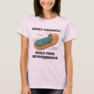 T-shirt Exercez-vous construction vos mitochondries