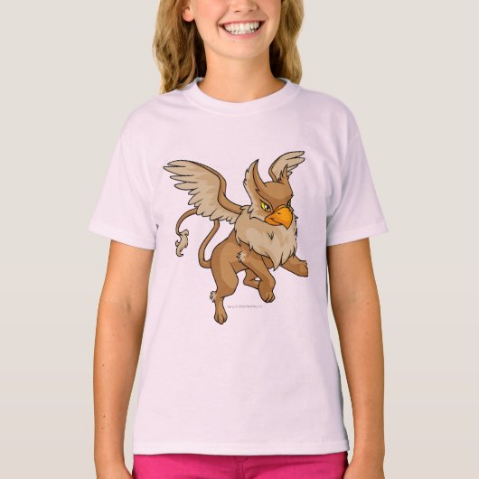 T-shirt Eyrie Brown (Devant)