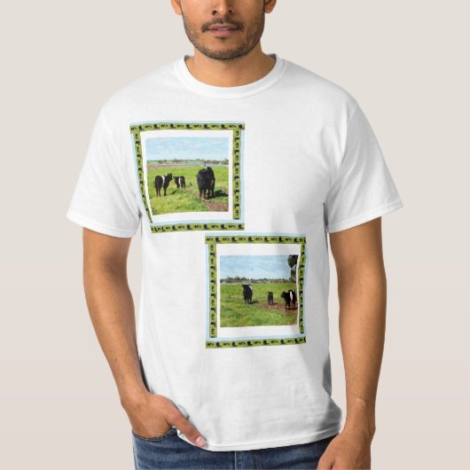 T-shirt Famille de vaches galloway ceinturées, (Devant)