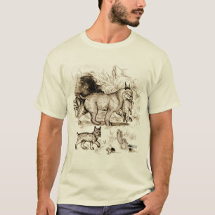 T-shirt Famille du Lynx roux