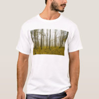 Fantasy forest with fog and yellow leaves