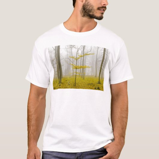 T-shirt Fantasy forest with fog and yellow leaves (Devant)