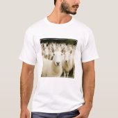 T-shirt Farms | Herd of Sheep (Devant)