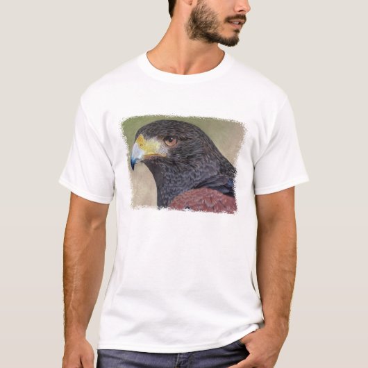 T-shirt Faucon-cp de Harris (Devant)