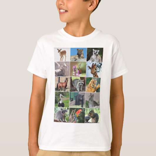 T-shirt Faune 15 animaux capturés dans la nature (Devant)
