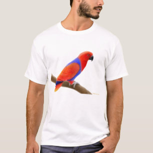 T-shirt femelle de perroquet d'Eclectus