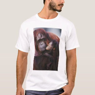 T-shirt Femelle orang-outan de Sumatra avec bébé, Pongo