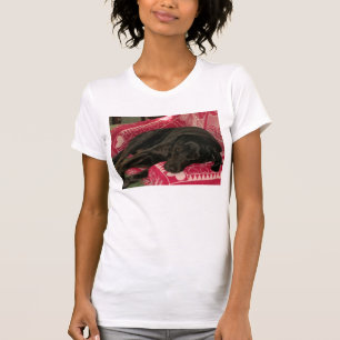 T-Shirt féminin décontracté col boule Chien Endorm