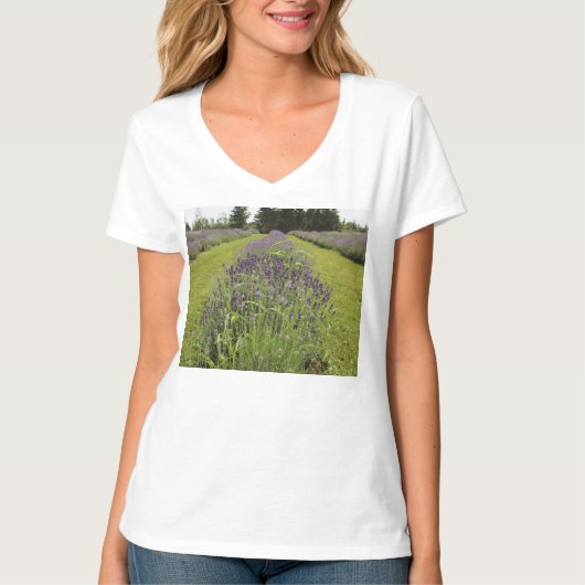 T-shirt Ferme de lavande de mer (Devant)