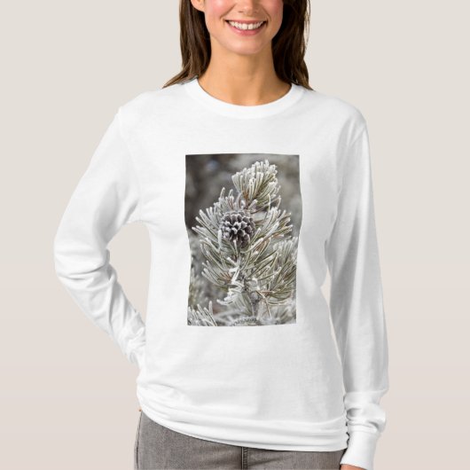 T-shirt Fermeture du cône de pin congelé, Yellowstone (Devant)