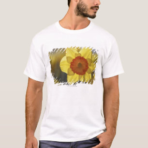 T-shirt Fermez-vous de jonquille jaune/orange