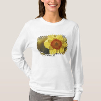 T-shirt Fermez-vous de jonquille jaune/orange