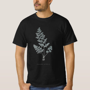 T-shirt Fern - Gymnogramma Leptophylla - Effet de rayons X