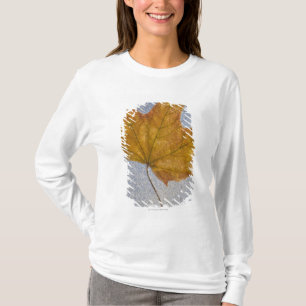 T-shirt Feuille d'érable jaune sous l'eau