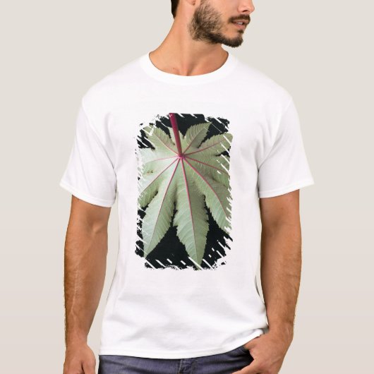 T-shirt Feuille et tige (Devant)