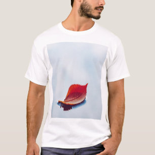 T-shirt feuille solitaire
